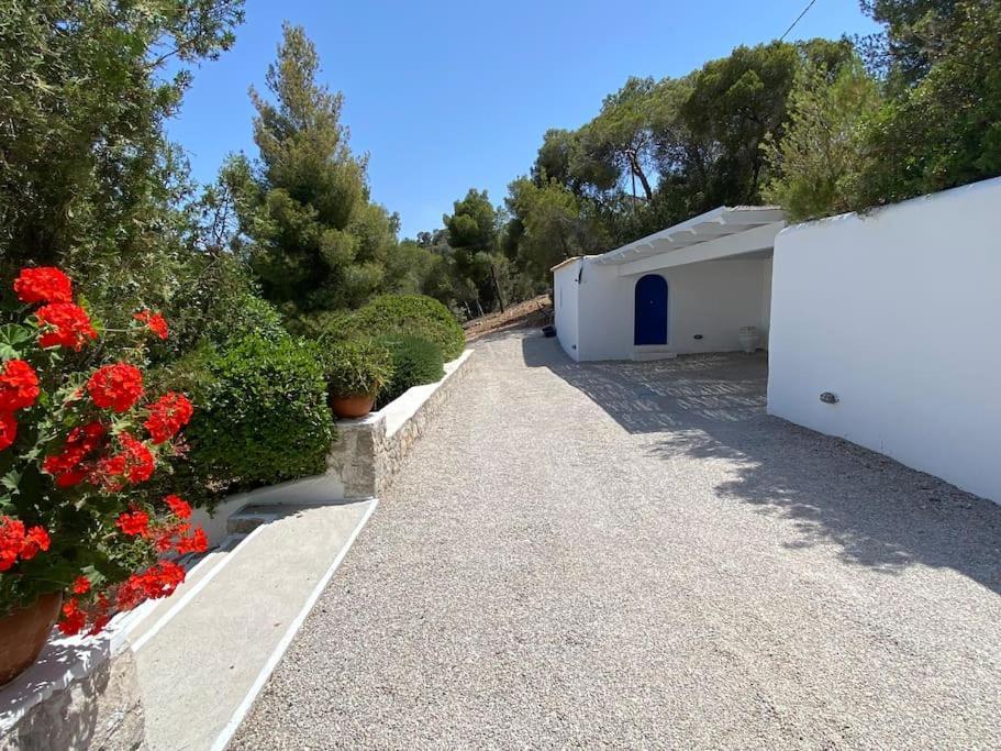 Retreat Villa By The Sea With Pool In פורטו הלי מראה חיצוני תמונה